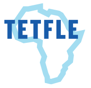Teacher Education through Flexible Learning in Africa 